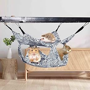 愛犬ラブプロフ必見！！ はりねずみ 小動物 飼育ケース 楽天市場】三晃商会 ハリネズミの基本飼育セット お一人様1点